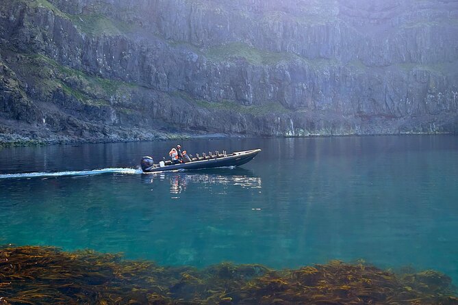 1 Hour Iceland Nature and Wildlife RIB Small Group Guided Safari - Key Points to Know Before You Go