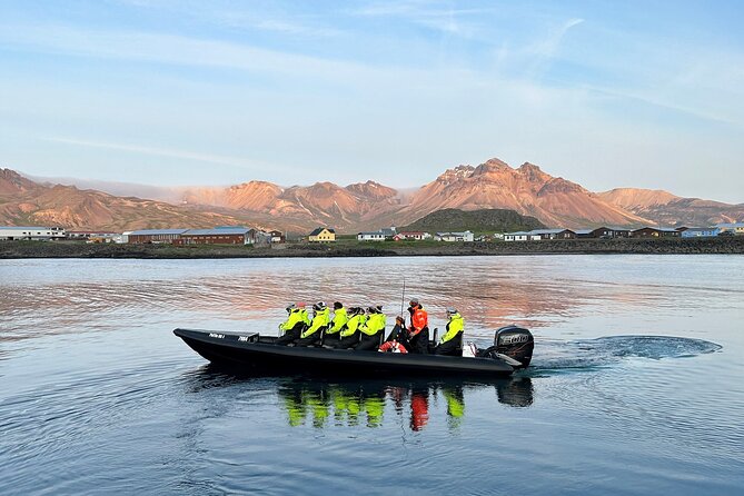1 Hour Iceland Nature and Wildlife RIB Small Group Guided Safari - Beyond Birds: Seals, Harbor Views, and Possible Whale Time