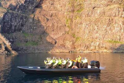 1 Hour Iceland Nature and Wildlife RIB Small Group Guided Safari
