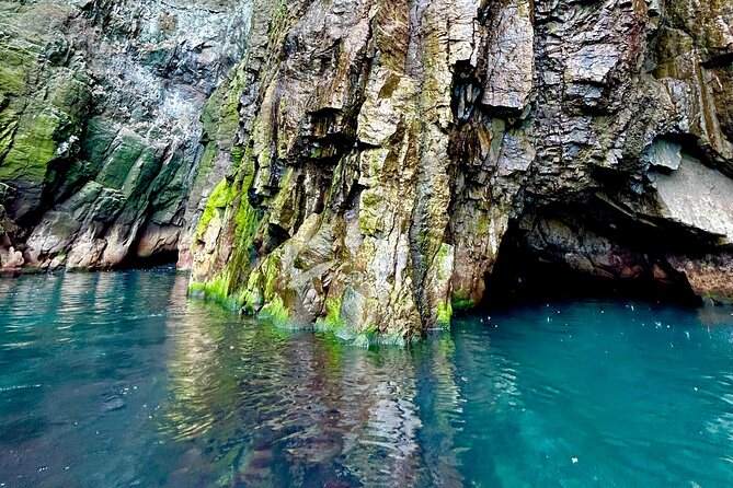 1 Hour Iceland Nature and Wildlife RIB Small Group Guided Safari - Comfort and Cameras on a One-Hour Time Slot