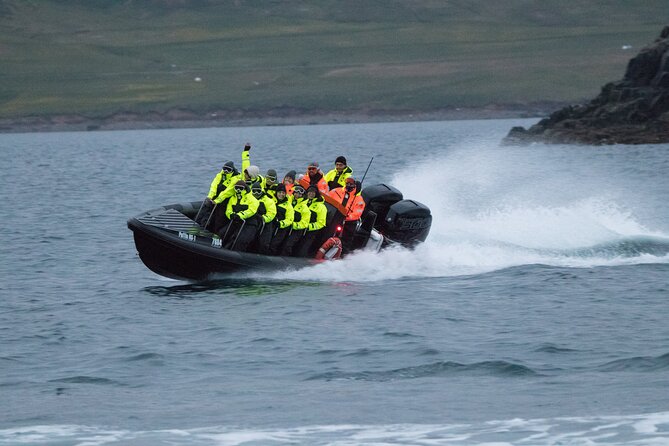 1 Hour Iceland Nature and Wildlife RIB Small Group Guided Safari - Price and Value: Is $160 for One Hour Fair?