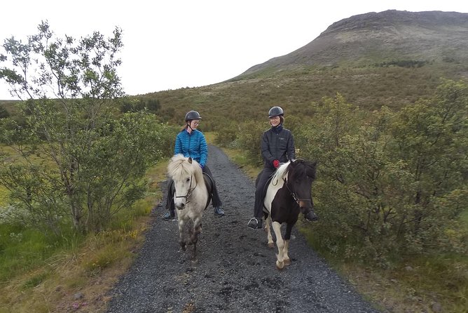 1+ hour Private Horse riding tour from Reykjavík/Mosfellsbær - Key things that make this ride worth your time