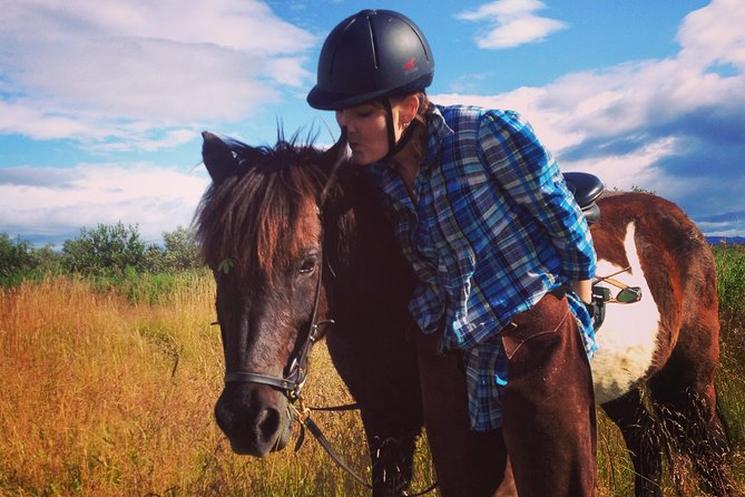 1+ hour Private Horse riding tour from Reykjavík/Mosfellsbær - Entering the stable: where the experience really starts