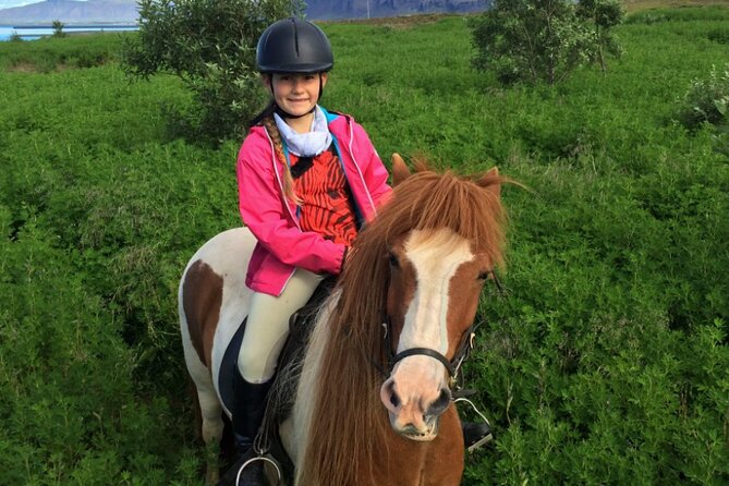 1+ hour Private Horse riding tour from Reykjavík/Mosfellsbær - Why the horse-culture lesson makes a difference