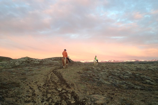 1+ hour Private Horse riding tour from Reykjavík/Mosfellsbær - Timing, weather, and what you should wear