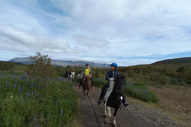 1+ hour Private Horse riding tour from Reykjavík/Mosfellsbær - Private guide, private pace, and how instruction is handled