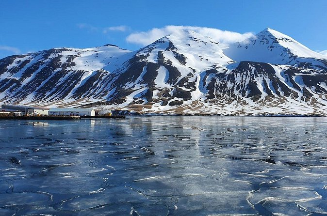 1-Hour Siglufjörður Stroll - Weather matters in the north, and this tour is honest about it