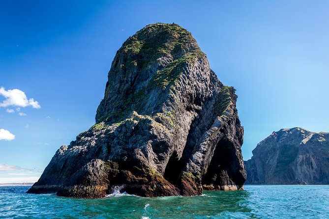1-Hour Small Group Sightseeing Boat Tour in Vestmannaeyjar - Price and value: $169.31 for one hour, what makes it feel fair