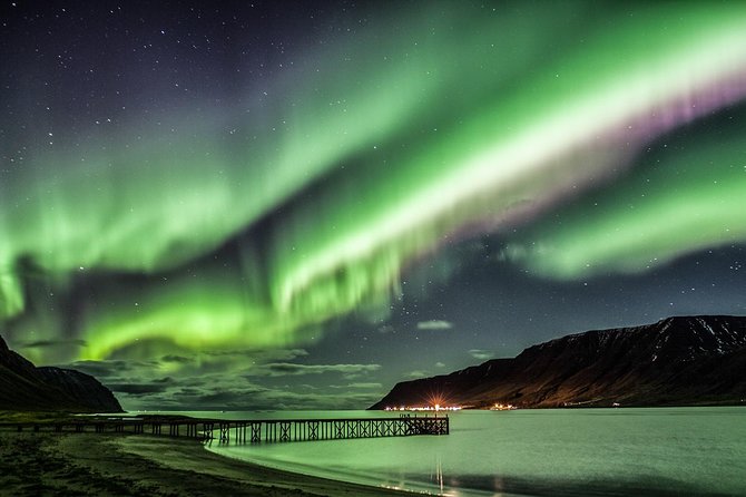 #1 Northern Lights Tour In Iceland from Reykjavik with PRO photos - From Reykjavik to Dark Skies: The 4-Hour Aurora Itinerary