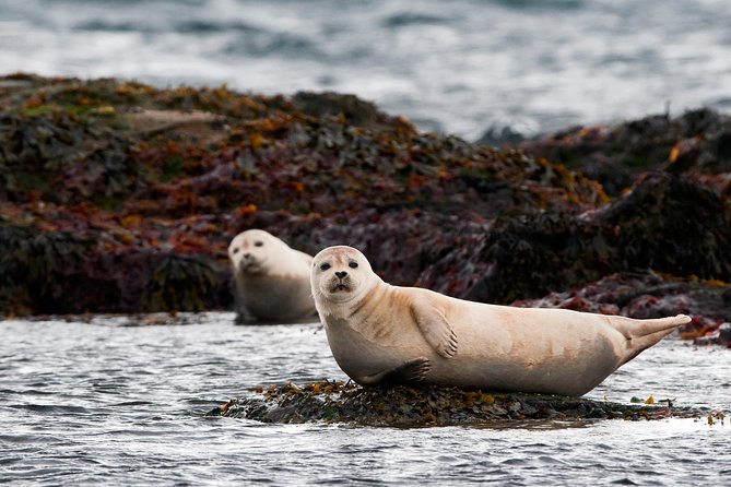 2-Day West | Lava Cave, Snæfellsnes & Silver Circle - Small Group - Should You Book? My Take