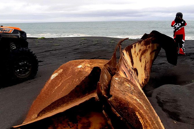2-Hour Black Sand Beach Buggy Tour from Hella - What you might spot on the shore: bones, shipwreck details, and surprises