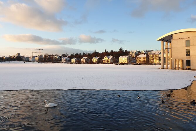 2-Hour Reykjavik Private Walking Tour - Hallgrímskirkja: the exterior quick-hit, with an optional summit payoff