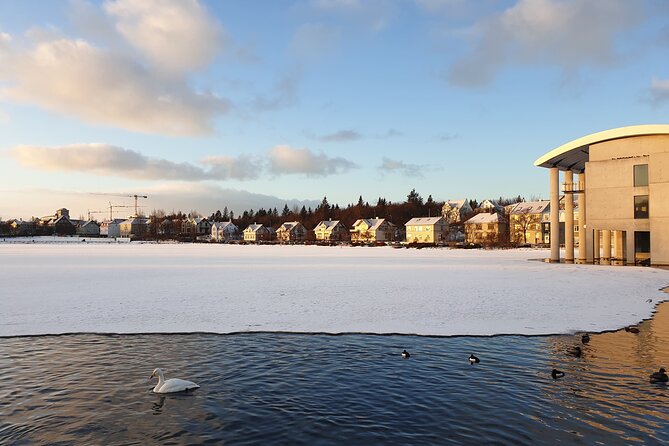 2-Hour Reykjavik Private Walking Tour - Reykjavik City Hall: photo moments and a calmer pace