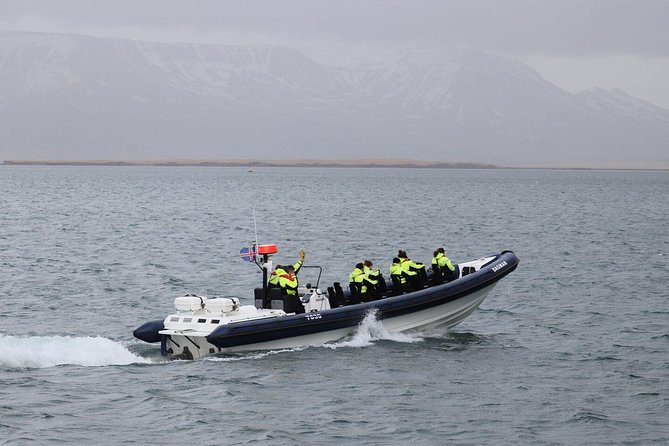 2-Hour RIB Boat Whale Watching Tour from Reykjavik - Key things I’d watch for before you go