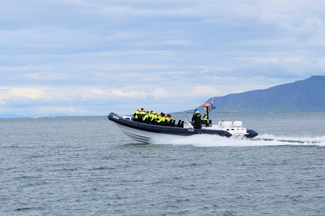 2-Hour RIB Boat Whale Watching Tour from Reykjavik - The group size advantage: why 12 people feels different