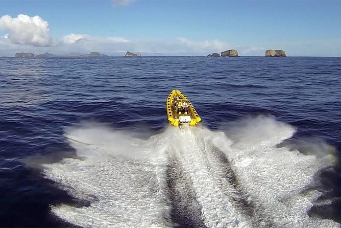 2 hour Round Trip in Vestmannaeyjar on a RIB Boat - Key points before you go