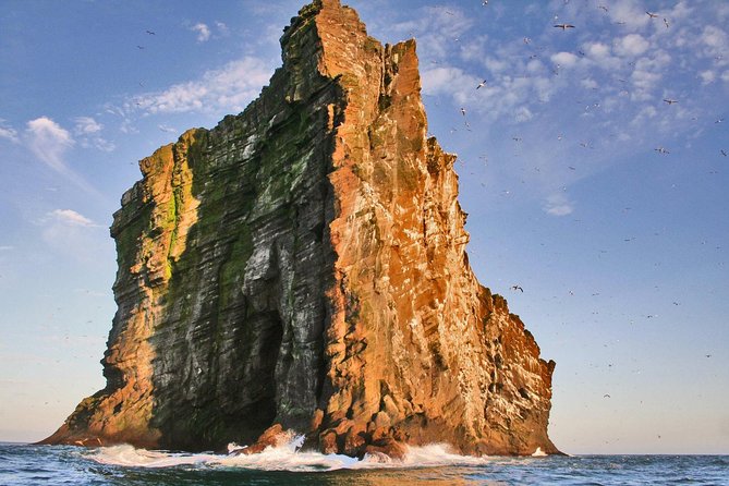 2 hour Round Trip in Vestmannaeyjar on a RIB Boat - A 2-hour RIB safari that makes Vestmannaeyjar feel right next door