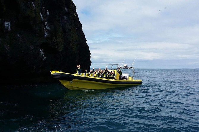 2 hour Round Trip in Vestmannaeyjar on a RIB Boat - Out to Súlnasker: gannets, and the chance of whales and seals