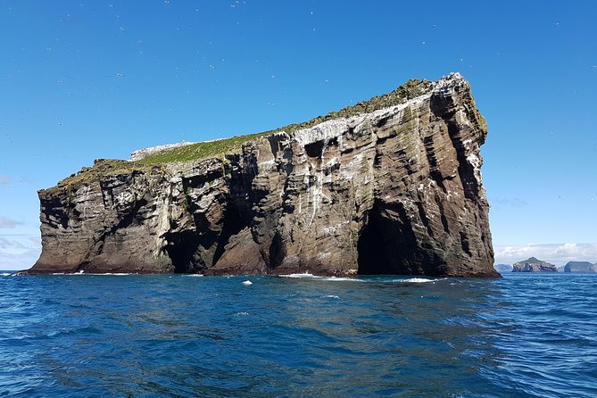 2 hour Round Trip in Vestmannaeyjar on a RIB Boat - The crew matters: captain energy and guide details you can use
