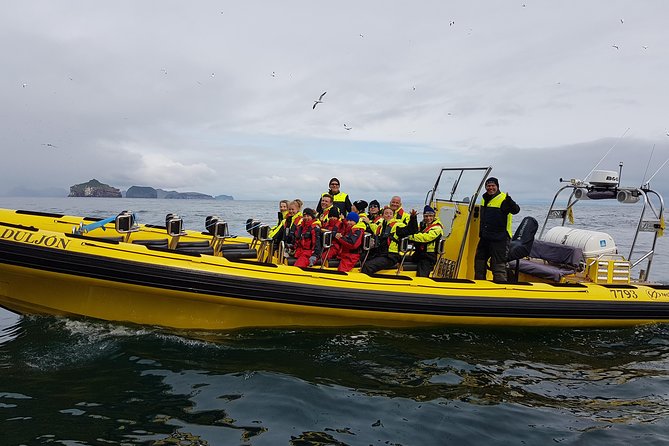 2 hour Round Trip in Vestmannaeyjar on a RIB Boat - What to wear and bring so you do not spend the trip thinking