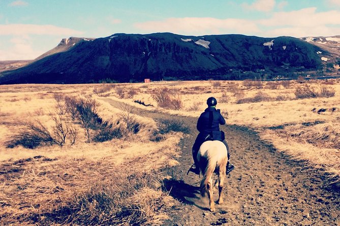 2 hours Private Horse Riding to Lake Hafravatn, Reykjavík - Mos - Key highlights at a glance