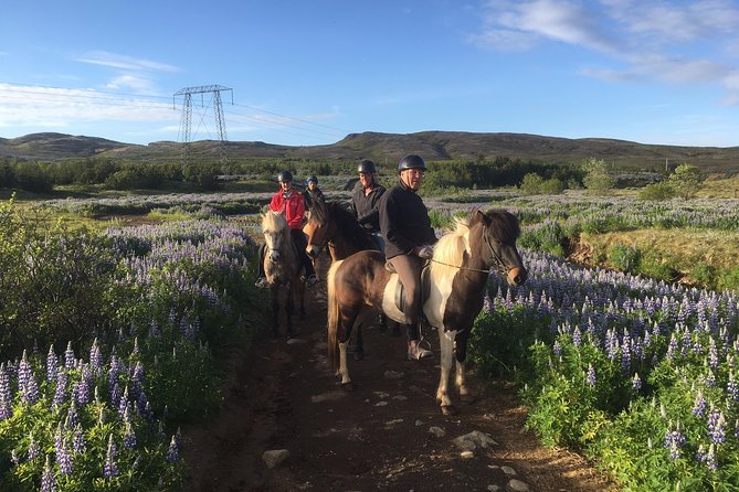 2 hours Private Horse Riding to Lake Hafravatn, Reykjavík - Mos - Why Lake Hafravatn horseback time beats a typical Reykjavik day