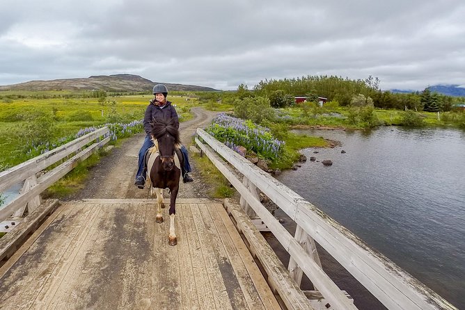 2 hours Private Horse Riding to Lake Hafravatn, Reykjavík - Mos - The ride flow: stable prep, paddock comfort, then trails by the lake