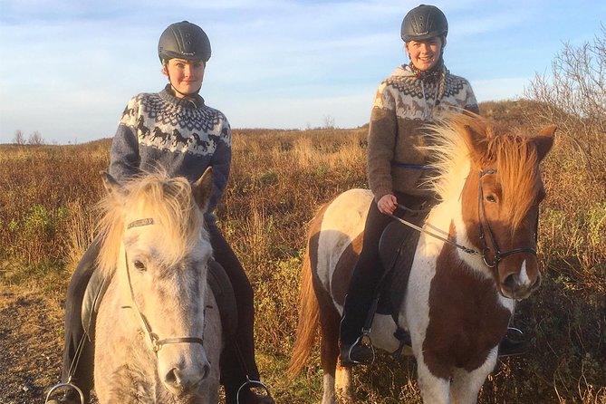 2 hours Private Horse Riding to Lake Hafravatn, Reykjavík - Mos - Meeting at Akrar 1 (Mosfellsbær) and the 3-hour reality check