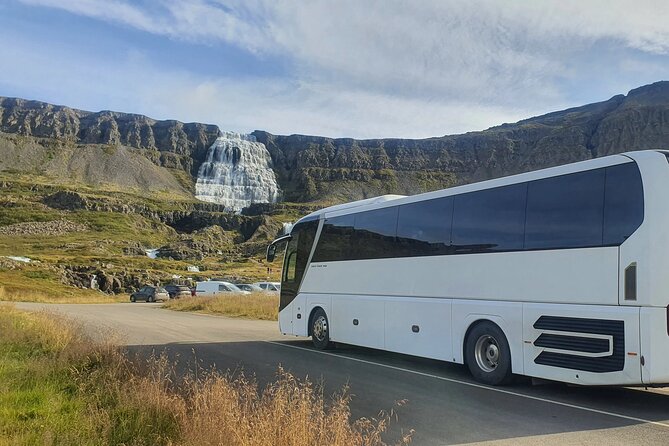 3,5-Hour Sightseeing Tour To Dynjandi Waterfall - Pacing, Restrooms, and Crowd Reality at Dynjandi