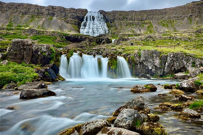 3,5-Hour Sightseeing Tour To Dynjandi Waterfall - Price and Value at $84.65, What You’re Really Paying For