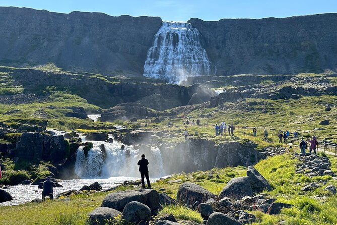 3,5-Hour Sightseeing Tour To Dynjandi Waterfall - Who This Tour Fits Best (And Who Might Prefer a Different Plan)