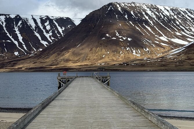 4 Hour Isafjordur and Dynjandi Tour With Photo Stops - Dynjandi (Fjallfoss): how to use your 1 hour 15 minutes well