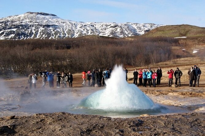 5-Days Land of Northern Lights Tour from Reykjavík - South Coast highlights, waterfalls, Skógar Museum, and the Sólheimajökull glacier walk option