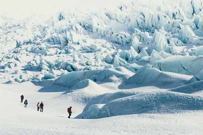 6-Day Summer Ring Route of Iceland Small-Group Tour - Day 6: Akureyri Town Time and Optional Whale Watching at Hauganes