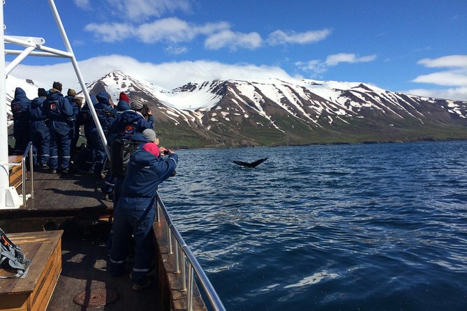 7-Day Complete Iceland: South Coast, Golden Circle, Akureyri & Snaefellsnes - East Fjords: long roads, small ports, and a chance to slow down