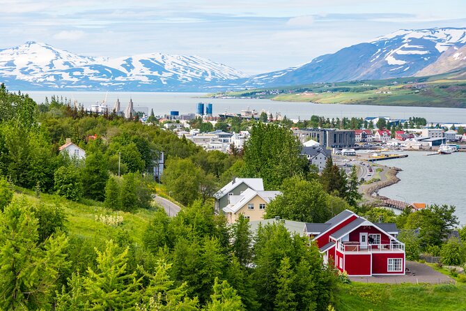 7-Day Small Group Journey Around Iceland - Eastfjords to Höfn: the long road that makes Iceland feel huge