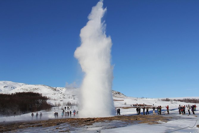 8-Day Small Group Tour Around Iceland from Reykjavik - Day 6: Hauganes whale watching and Grábrók’s Northern Lights spot