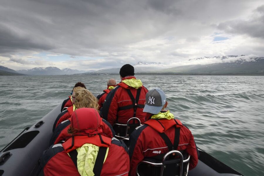 Akureyri: 2-Hour Whale Watching Express by RIB Speedboat - Who This Tour Suits Best