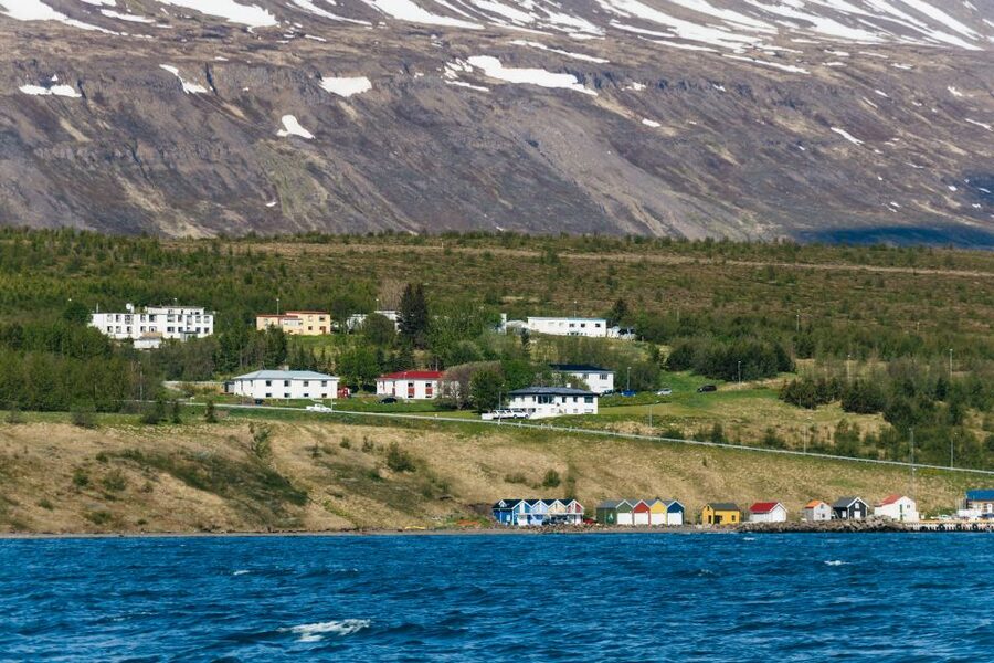 Akureyri: 3-Hour Classic Whale Watching Tour by Ship - Best tips to boost your odds and enjoy the ride more