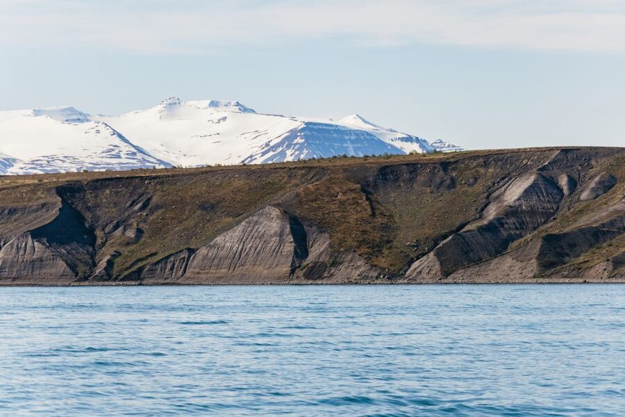 Akureyri: 3-Hour Classic Whale Watching Tour by Ship - The whale hunt on Eyjafjörður: from first sightings to feeding behavior