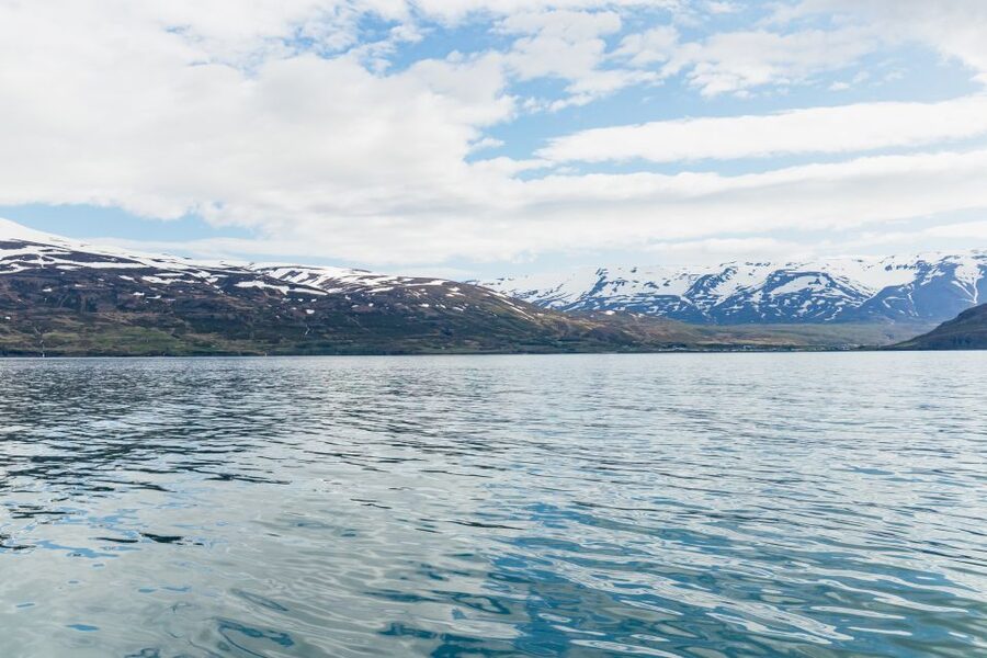 Akureyri: 3-Hour Classic Whale Watching Tour by Ship - Guides and whale behavior: what the best spotting sounds like