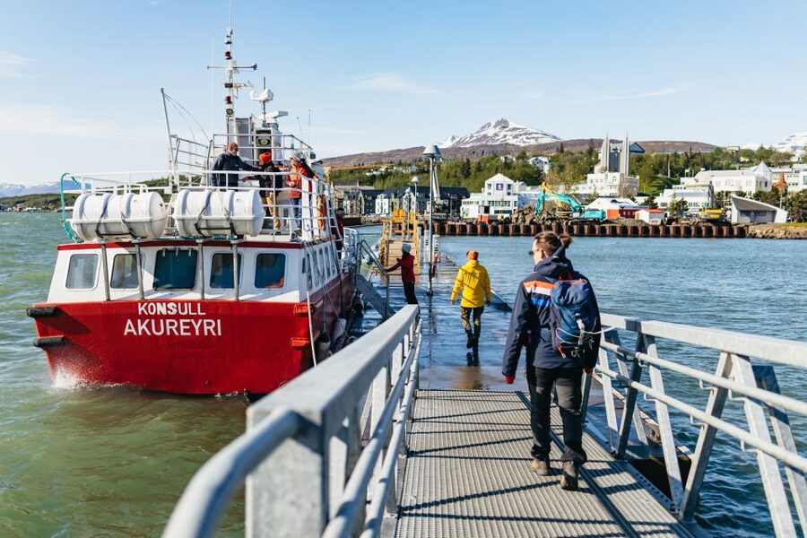 Akureyri: 3-Hour Classic Whale Watching Tour by Ship - Price and value: is $108 worth it for a 3-hour cruise?