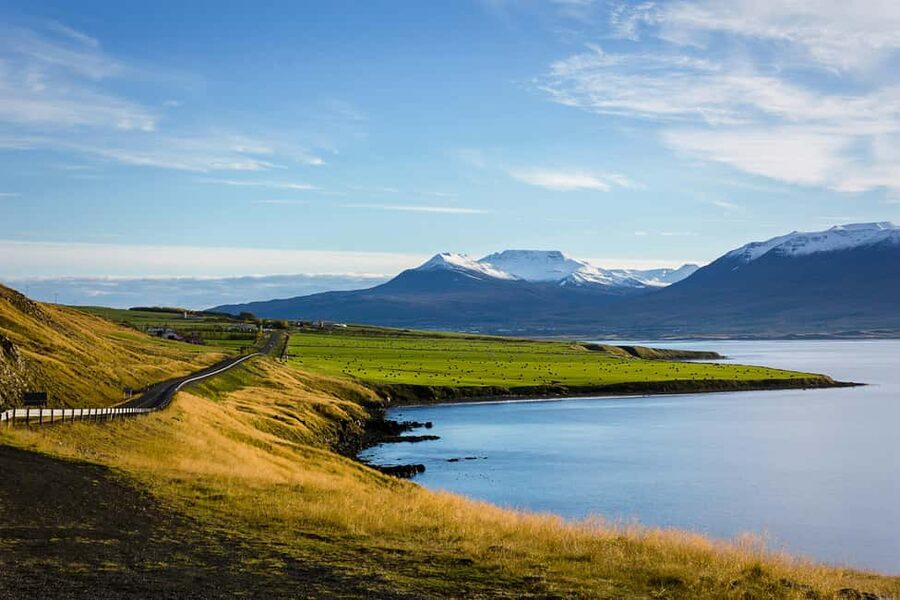 Akureyri: Dettifoss and Goðafoss Waterfalls Tour - Value for $152: what you’re actually paying for