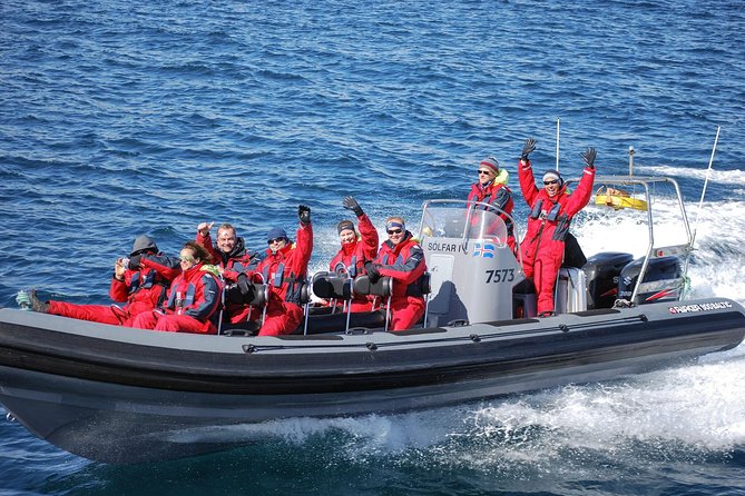 Akureyri Express Whale Watching by RIB boat - Spotting whales close up: what the captain does when wildlife appears
