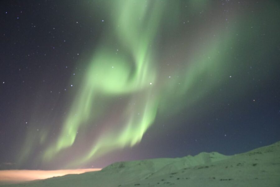 Akureyri: Hunt for the Northern Lights Photography Tour - How the guide searches the aurora sky, beyond just saying look up