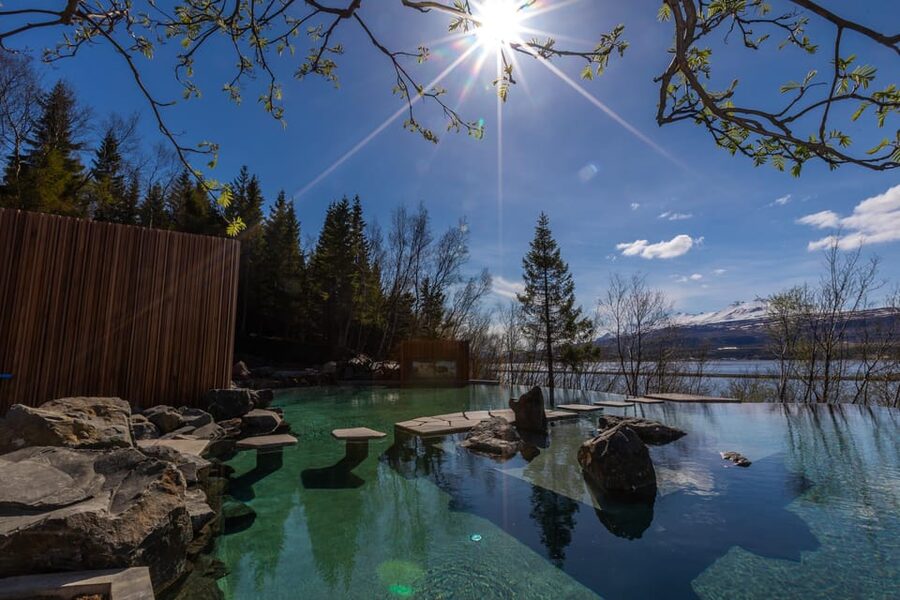 Akureyri Port: Goðafoss and the Forest Lagoon Tour - Price and value: what $203 buys (and what it does not)