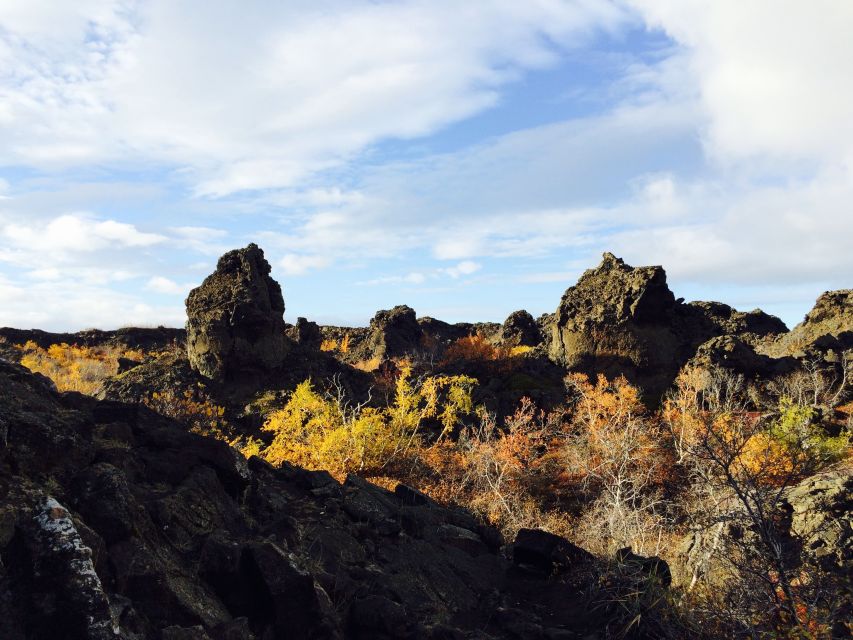 Akureyri Port: Lake Mývatn & Goðafoss Waterfall Day Trip - Dimmuborgir lavafield: rock that looks old and intentional