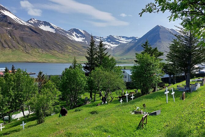 Akureyri Siglufjörður Half Day Tour to the Arctic Coastline - Key highlights I’d plan around