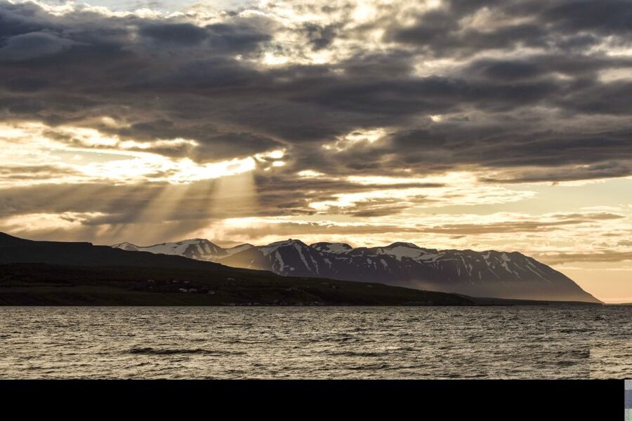 Akureyri: Whale Watching in the Midnight Sun - The guide experience: what you learn and how you help spot