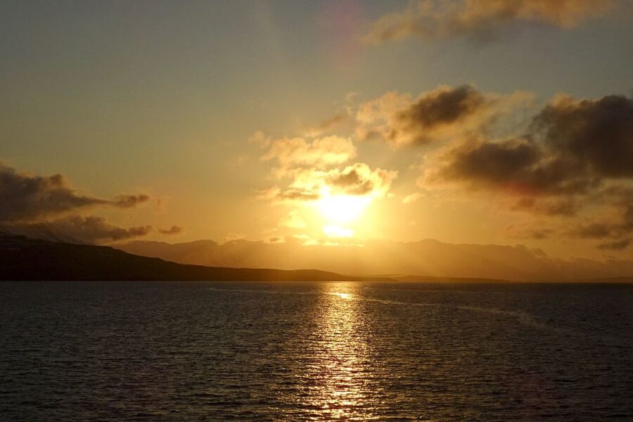 Akureyri: Whale Watching in the Midnight Sun - Price and value: is $101 fair for 3 hours on the water?